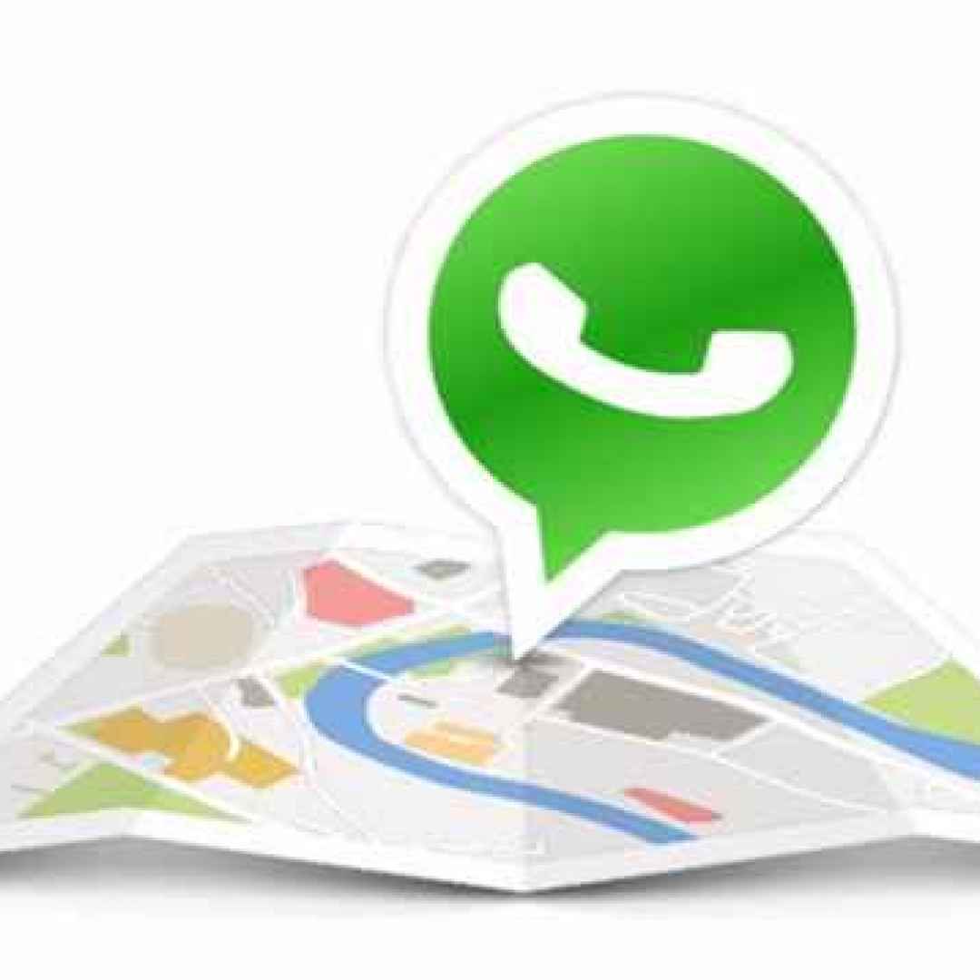whatsapp  chat  apps  live location