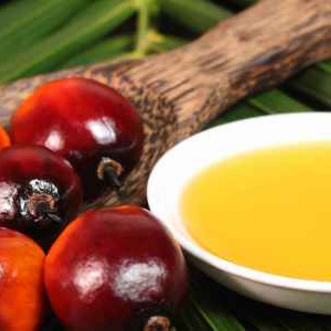 olio palma oliodipalma grassi saturi