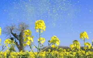 Salute: allergie primavera allergiestagionali