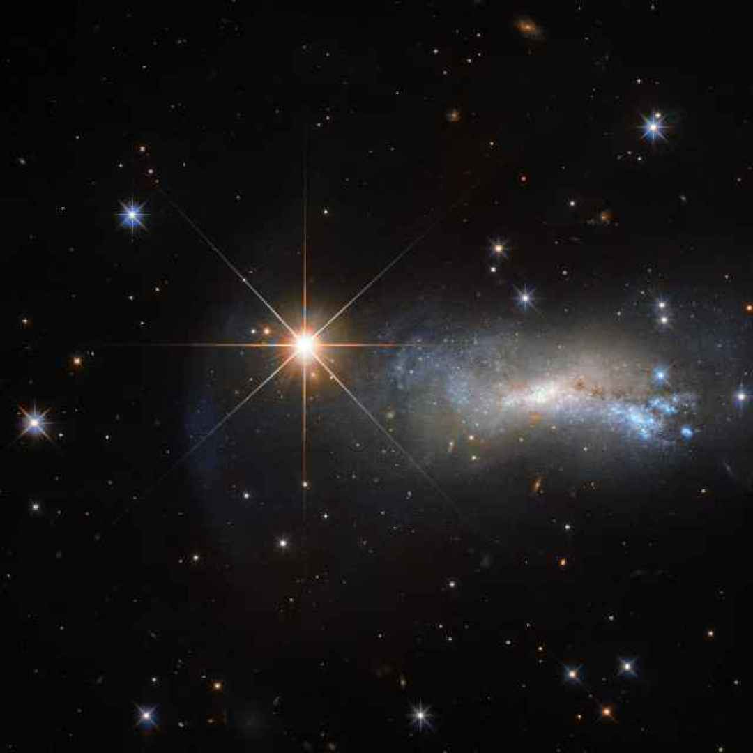 galassie irregolari  hubble