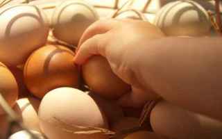 I segreti delle uova per utilizzarle al meglio