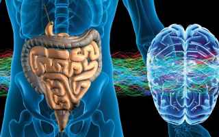 Medicina: cervello  intestino  batteri