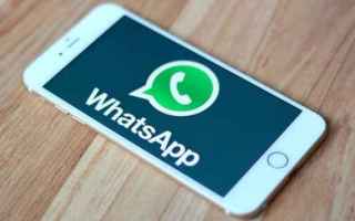 App: whatsapp  apps  chat pin  autoreplies