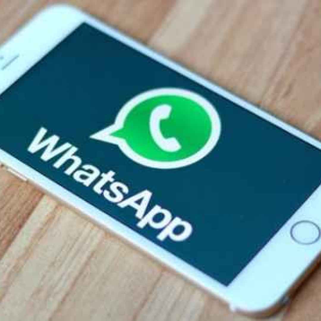 whatsapp  apps  chat pin  autoreplies