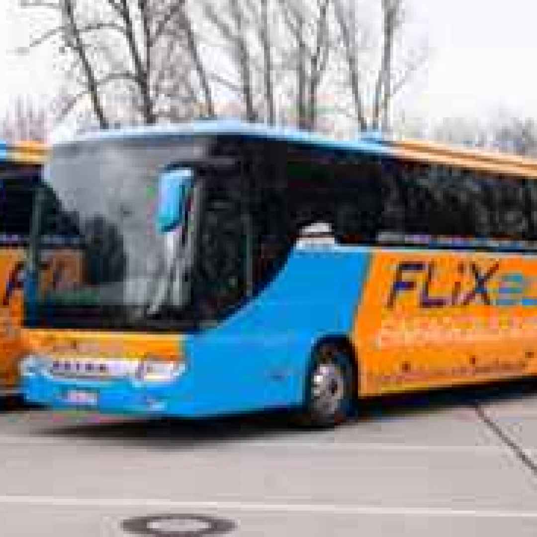 bus low cost autobus low cost viaggi