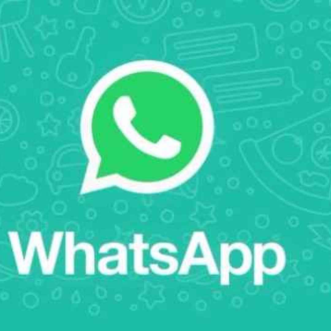 whatsapp  apps  videochiamate  backup