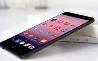 smartphone  android  vernee  thor e