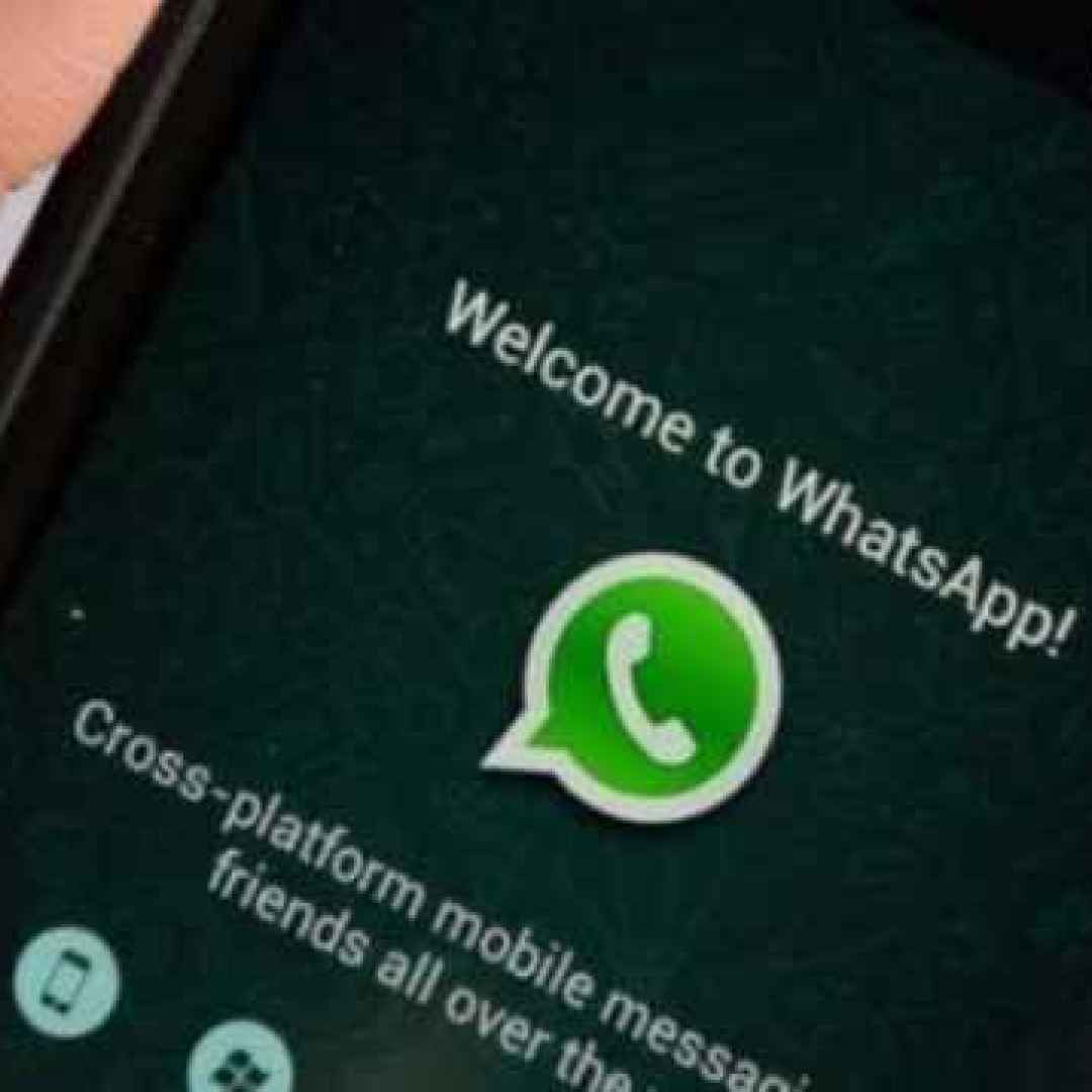 whatsapp  apps  social  news
