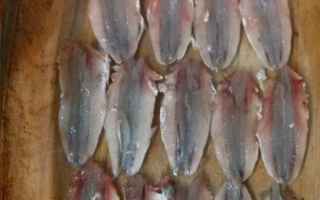 Alimentazione: anisakis pesce crudo casalingo abbattere