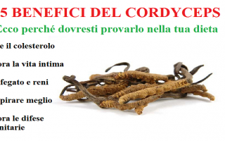 cordyceps   viagra naturale