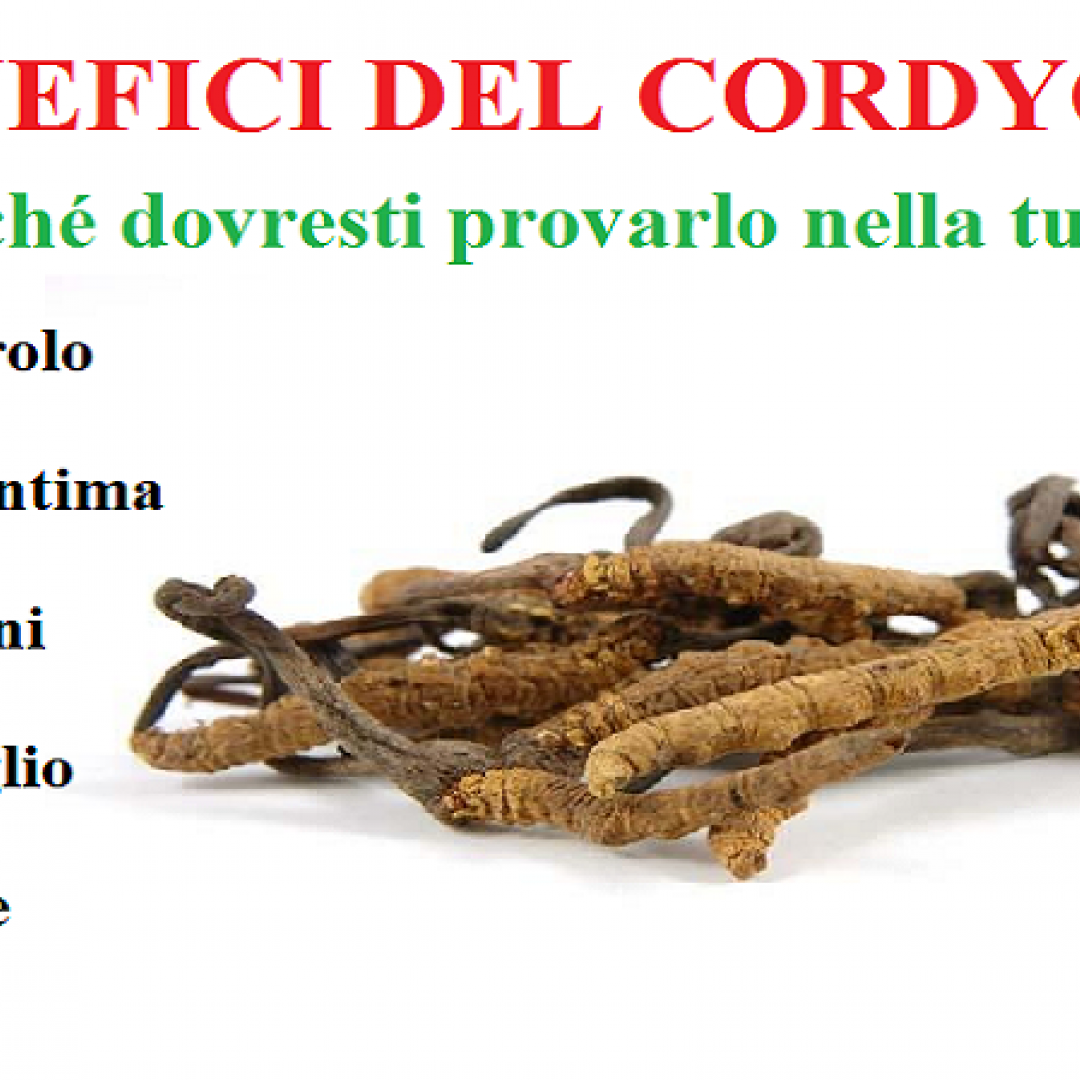 cordyceps   viagra naturale
