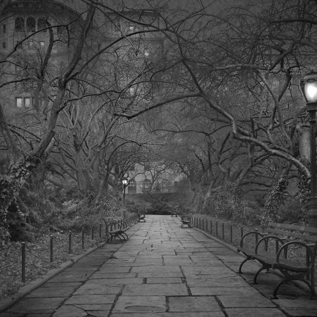 new york  central park  america  fotografia