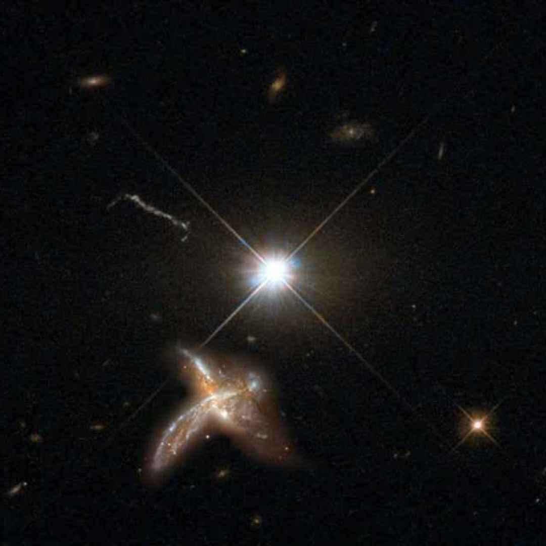 alma  galassie  quasar