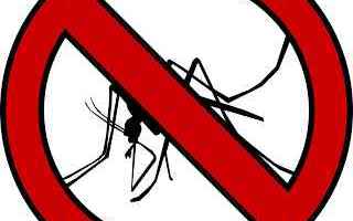 Salute: zanzare rimedi soluzioni eliminare