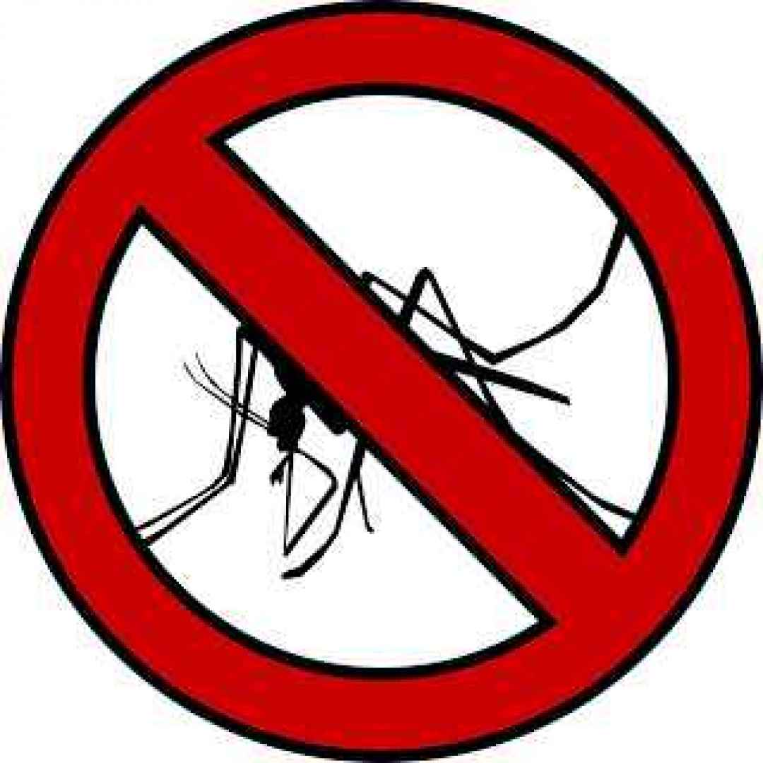 zanzare rimedi soluzioni eliminare