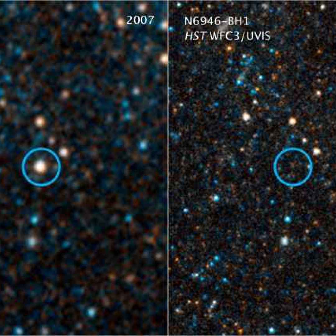 stelle  supernove  buchi neri
