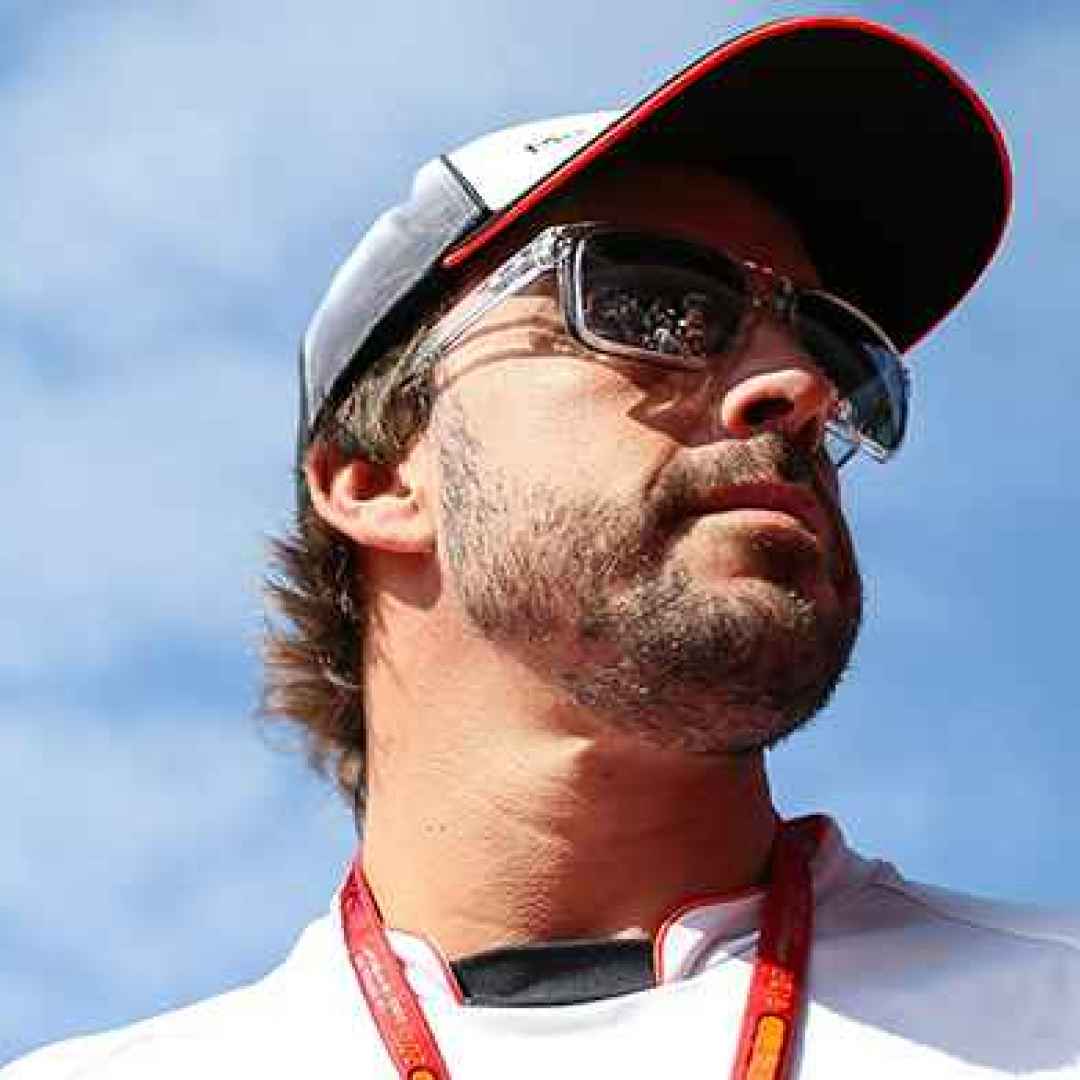 alonso  indy  indianapolis