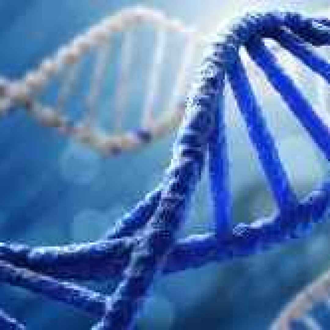 dna  test  geni  invecchiamento  ricerca