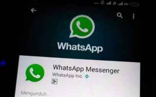 App: whatsapp  beta  android
