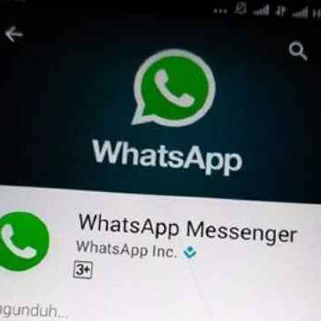 whatsapp  beta  android