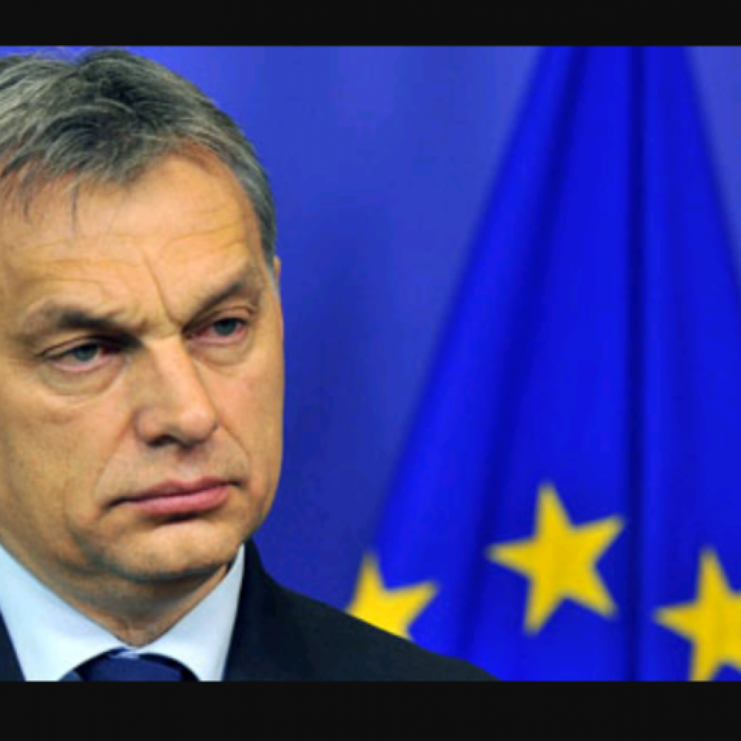 europa  ungheria  europarlamento  orban