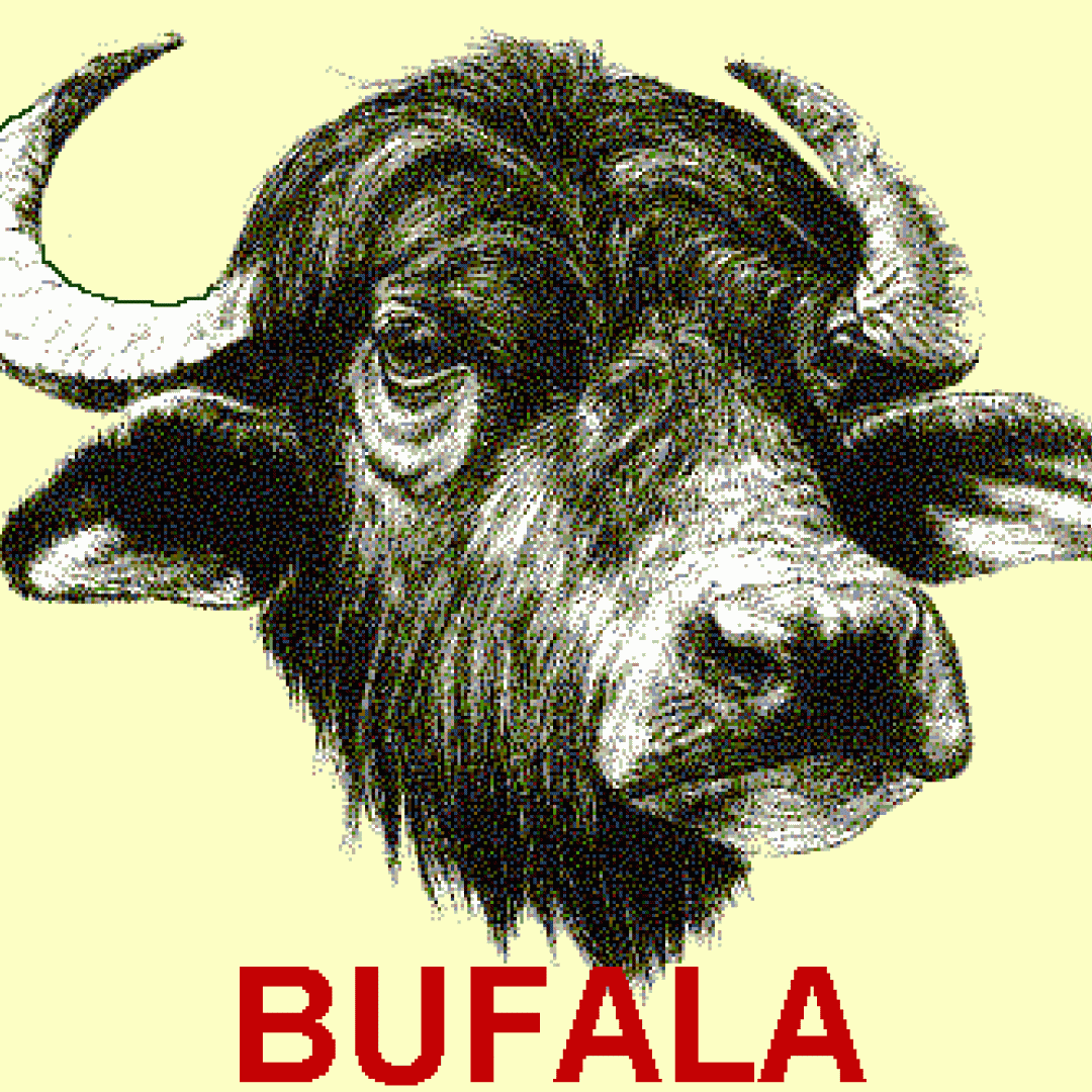 bufala  fake news  notizia falsa