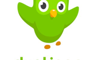 Recensione e descrizione App Duolingo