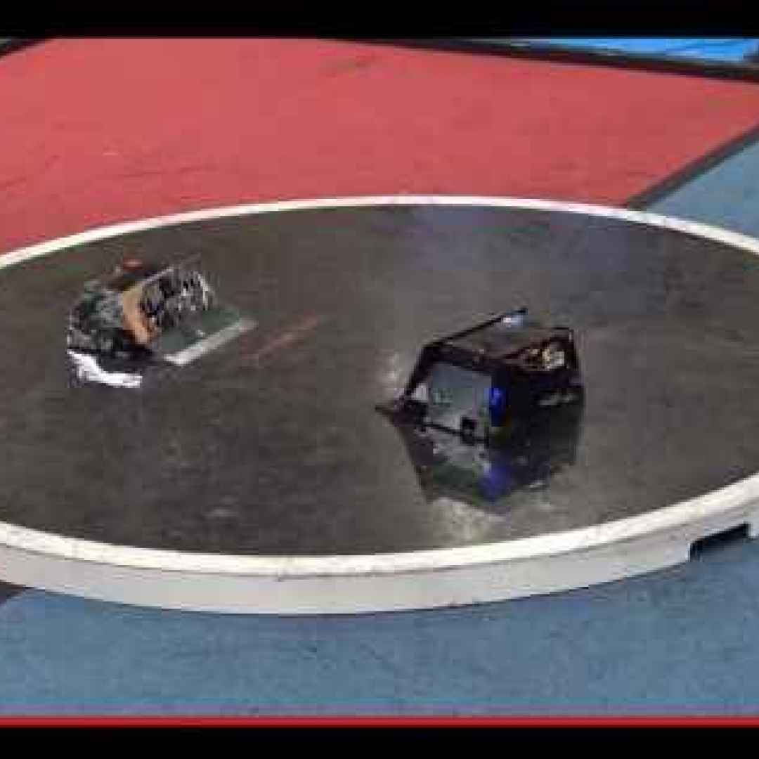 giappone  robot  sumo  tecnologia