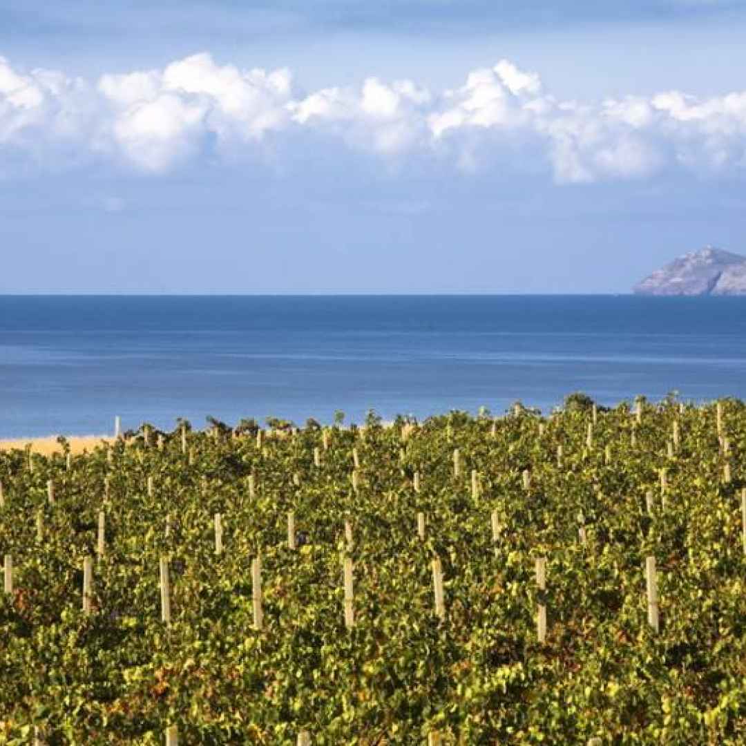 Un estate alla scoperta di antichi borghi sulle strade dei vini di Sardegna