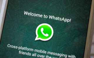 whatsapp  applicazioni android