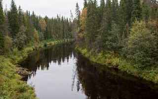 La Grande Foresta del Nord è il secondo più grande ecosistema terrestre al mondo – dopo le fores