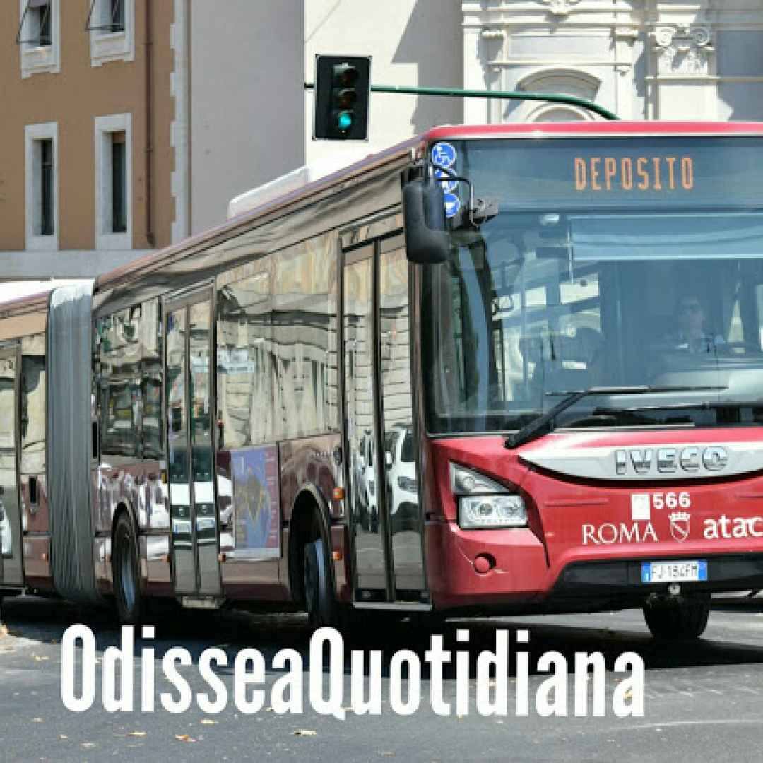 autobus  roma  trasporto pubblico