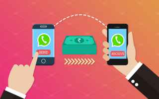App: whatsapp  payments  apps  android