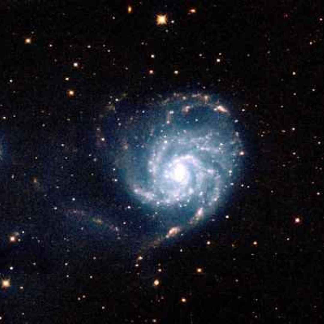 astronomia  telescopi  fotografia