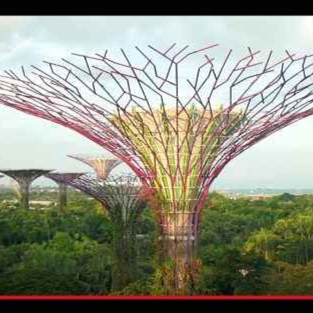 singapore  asia  architettura  giardini