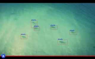Tecnologie: droni  squali  australia  ambiente