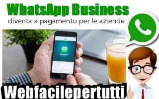 (WhatsApp) Diventa a pagamento per le aziende con WhatsApp Business