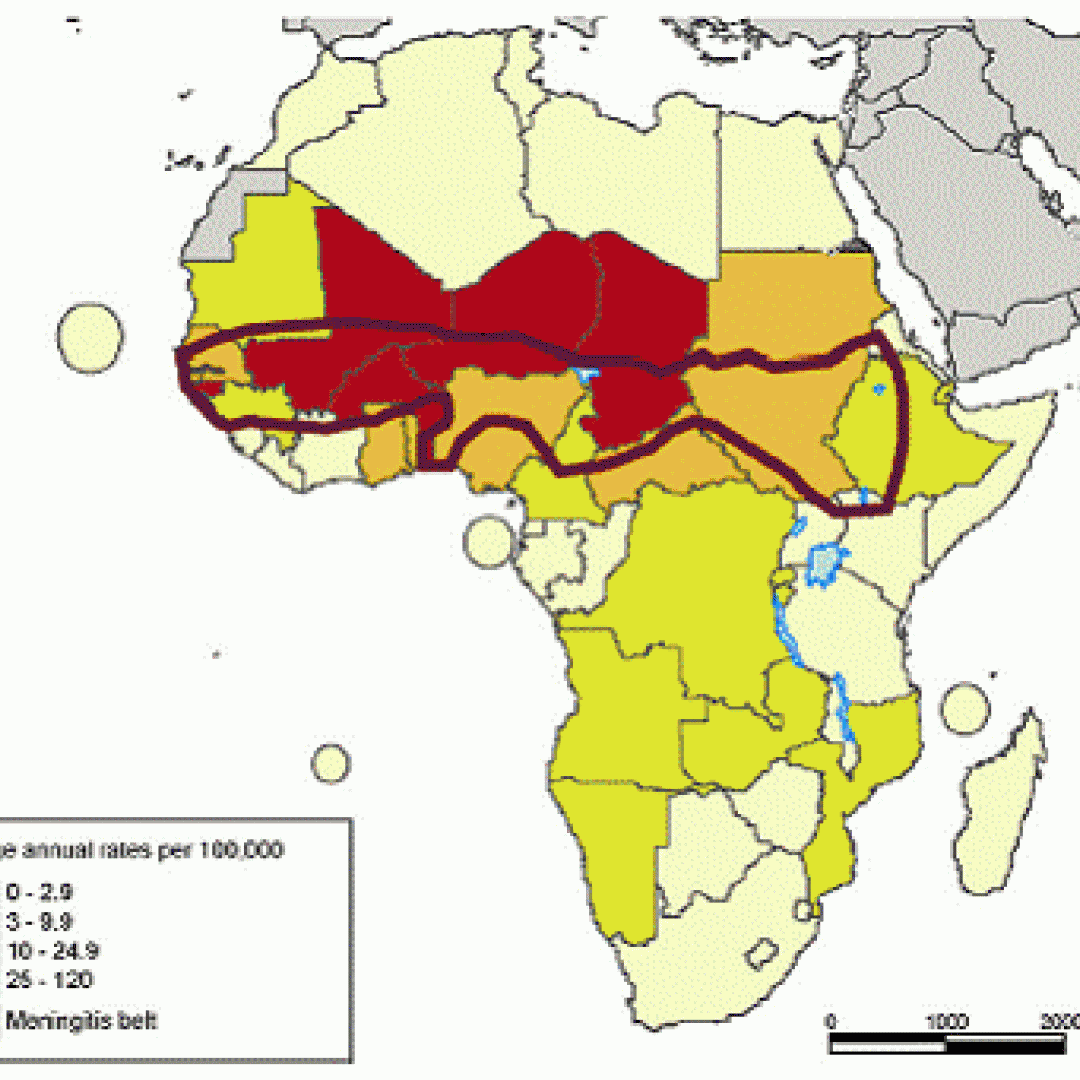 stupri  immigrati  malaria