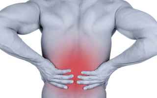 Salute: mal di schiena  dolore lombare