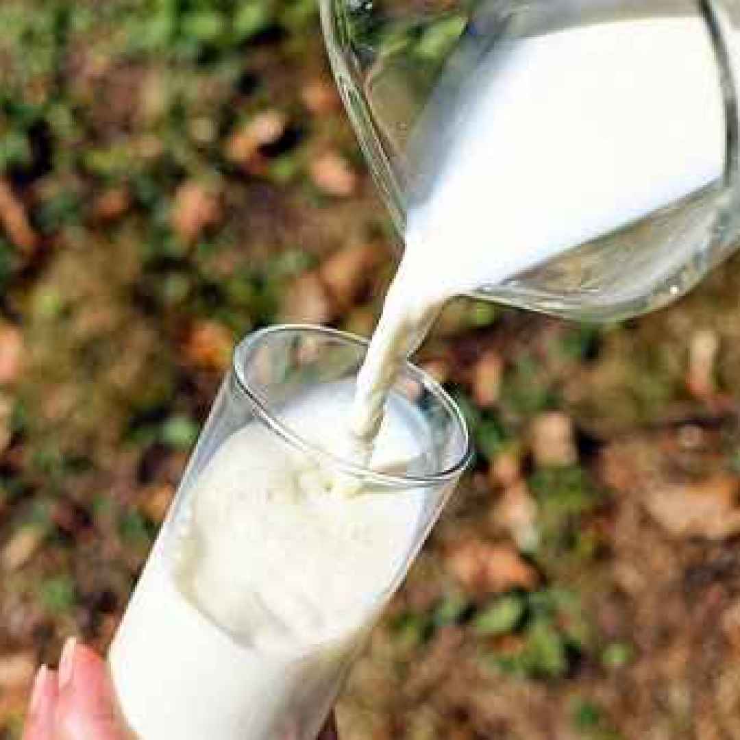 latte  lattosio  intolleranza