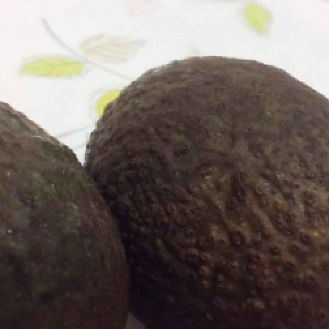 avocado  primi  pasta