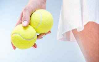 Tennis: tennis grand slam stefano calzolari