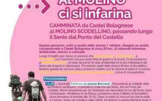 Notizie locali: castel bolognese  molino scodellino