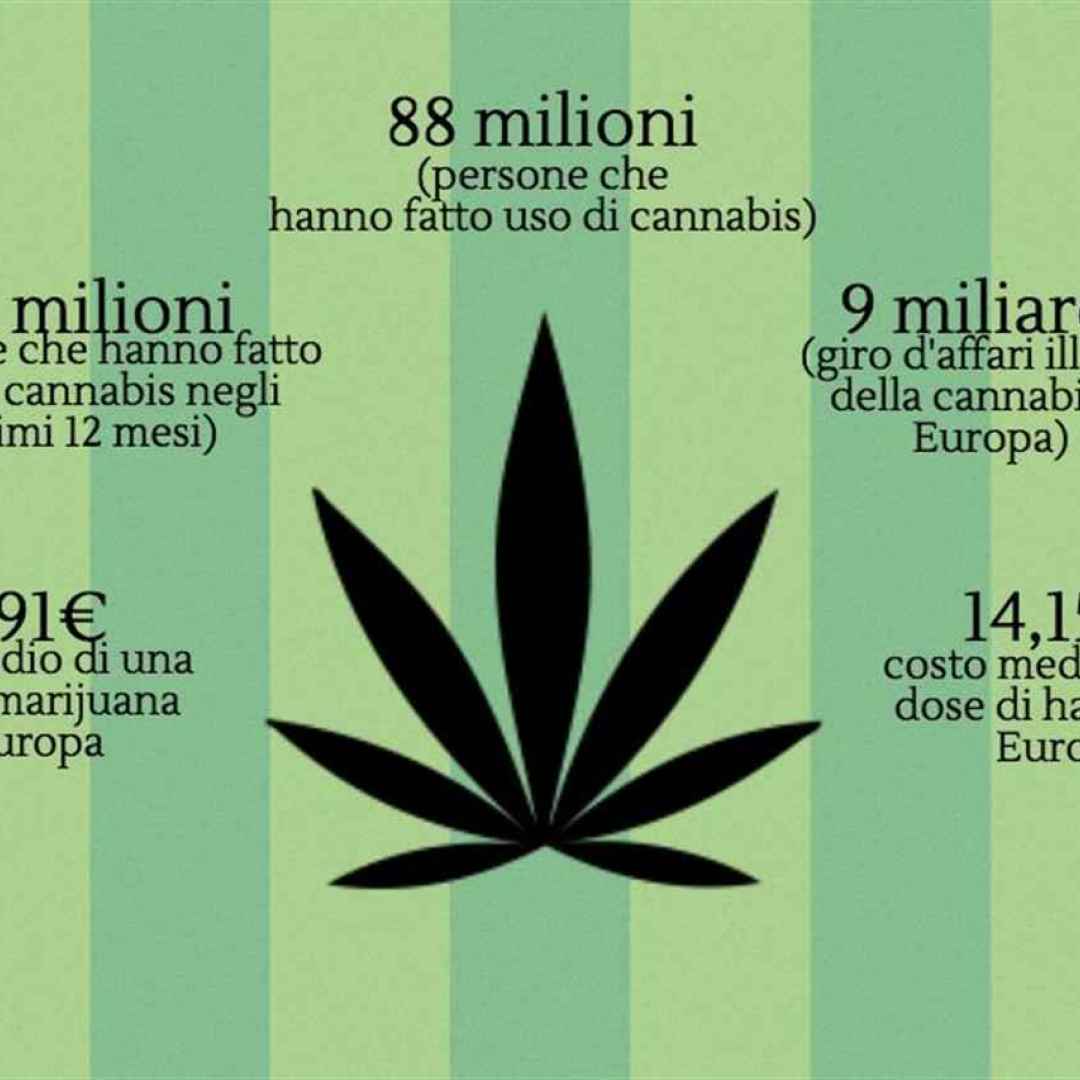 cannabis  legge  legalizzazione