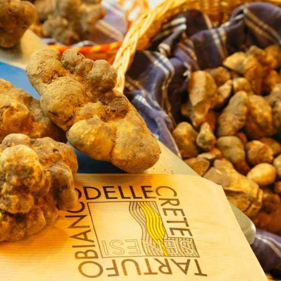 Mostra mercato del tartufo bianco delle Crete senesi, 11/12 e 18/19 novembre a San Giovanni d