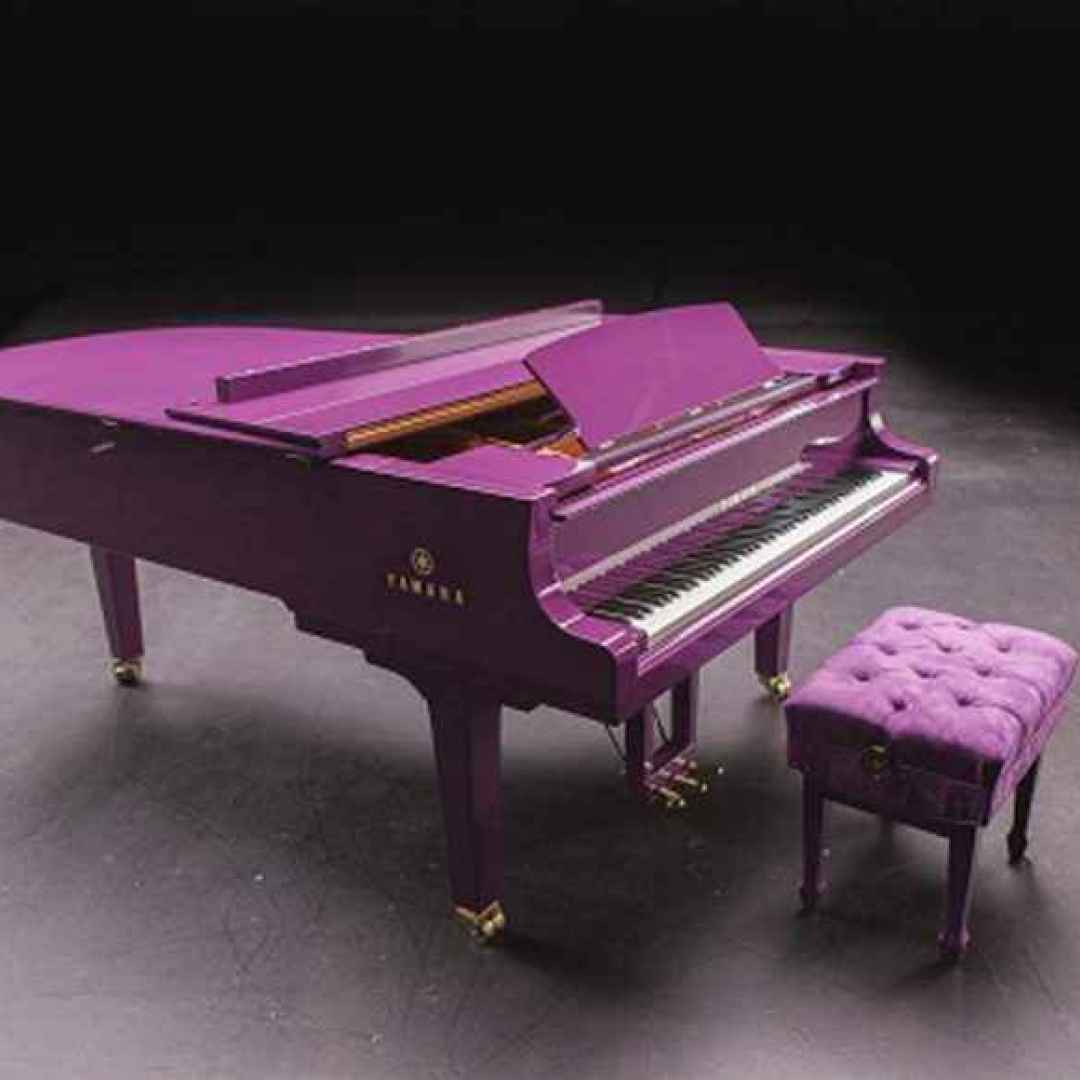 prince  viola  purple