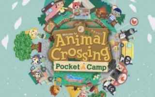 Non conoscevo Animal Crossing, sono onesto, perché non ho mai avuto familiarità con il mondo Ninte