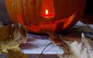 Tutti i segreti della zucca di Halloween: intaglio, conservazione, etc.