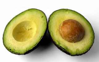 Alimentazione: avocado proprietà guacamole ambiente