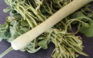 Ricette: minestre  tenerume  zucchine